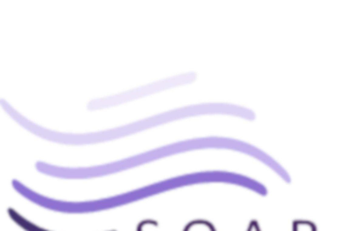 S.O.A.R radio station image